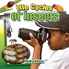 Life Cycles of Insects (Insects Close-Up)