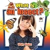 What Is An Insect? (Insects Close-Up)