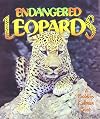 Endangered Leopards (Earth's Endangered Animals)
