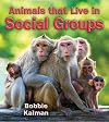 Animals That Live in Social Groups