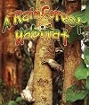 A Rainforest Habitat