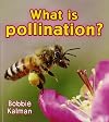 What Is Pollination? (Big Science Ideas (Paperback))
