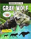 Bringing Back the Gray Wolf