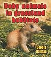 Baby Animals in Grassland Habitats (Habitats of Baby Animals)