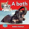 At School (Bobbie Kalman's Leveled Readers: My World)