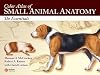 Color Atlas of Small Animal Anatomy: The Essentials