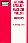 Hippocrene Standard Welsh-English English-Welsh Dictionary