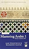 Mastering Arabic