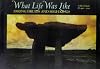 What Life Was Like Among Druids and High Kings: Celtic Ireland AD 400-1200