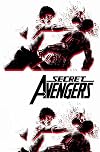 Secret Avengers: Run the Mission, Don't Get Seen, Save the World