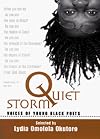 Quiet Storm (Jump at the Sun)
