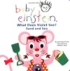 Baby Einstein: What Does Violet See? Sand and Sea