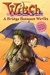A Bridge Between Worlds