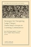 Strategies for Energizing Large Classes: From Small Groups to Learning Communities
