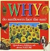 Why Do Sunflowers Face the Sun? Questions Children Ask About Nature