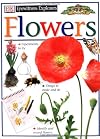 Flowers (Eyewitness Explorers)