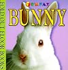 Bunny (Fold Out Floor Books)