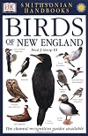 Birds of New England