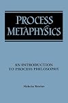 Process Metaphysics: An Introduction to Process Philosophy