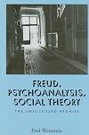 Freud, Psychoanalysis, Social Theory: The Unfulfilled Promise (S U N Y Series in Social and Political Thought)