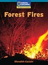 Forest Fires