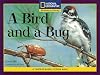 A Bird and a Bug (Windows on Literacy)
