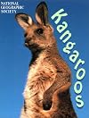 Kangaroos (Animal Safari)
