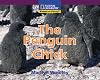 The Penguin Chick (Windows on Literacy)