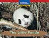 The Little Panda (National Geographic Windows on Literacy)