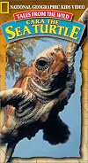 Tales From the Wild: Cara the Sea Turtle (National Geographic Kids) (Downloadable)