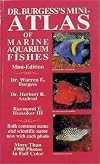 Dr. Burgess's Mini-Atlas of Marine Aquarium Fishes