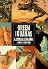 Green Iguanas and Other Iguanids