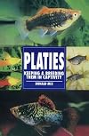 Platies: Keeping and Breeding Them in Captivity