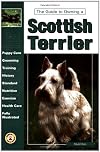 The Guide to Owning a Scottish Terrier