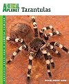 Tarantulas