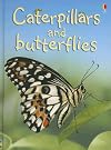 Caterpillars and Butterflies (Usborne Beginners)