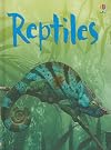 Reptiles (Usborne Beginners)