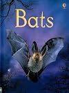 Bats (Usborne Beginners)