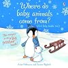 Where Do Baby Animals Come From?: And Baby People Too [With Poster]