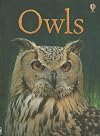 Owls (Usborne Beginners)