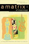 A Matrix of Meanings: finding God in pop culture (Engaging Culture)