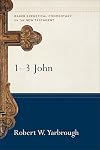 1, 2, and 3 John (Baker Exegetical Commentary on the New Testament)