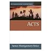 Acts: An Expositional Commentary