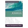 Joshua (Expositional Commentary)