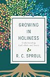 Growing in Holiness: Understanding God's Role and Yours