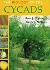 The biology of the cycads