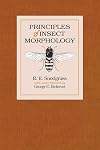 Principles of Insect Morphology (Comstock Book)