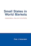 Small States in World Markets: Industrial Policy in Europe