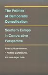 The Politics of Democratic Consolidation