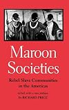 Maroon Societies: Rebel Slave Communities in the Americas